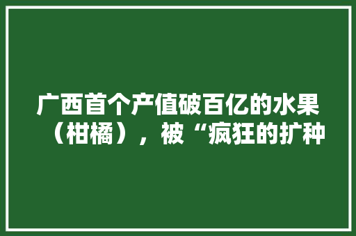 广西首个产值破百亿的水果（柑橘），被“疯狂的扩种”，对此你怎么看，水果种植基地产值多少。 土壤施肥