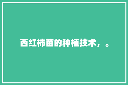 西红柿苗的种植技术，。 畜牧养殖