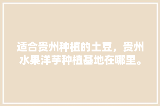 适合贵州种植的土豆，贵州水果洋芋种植基地在哪里。 适合贵州种植的土豆，贵州水果洋芋种植基地在哪里。 畜牧养殖