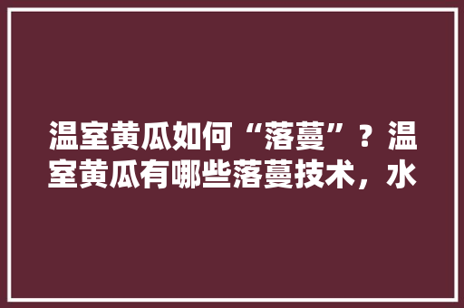 温室黄瓜如何“落蔓”？温室黄瓜有哪些落蔓技术，水果青瓜种植课程视频讲解。 温室黄瓜如何“落蔓”？温室黄瓜有哪些落蔓技术，水果青瓜种植课程视频讲解。 家禽养殖