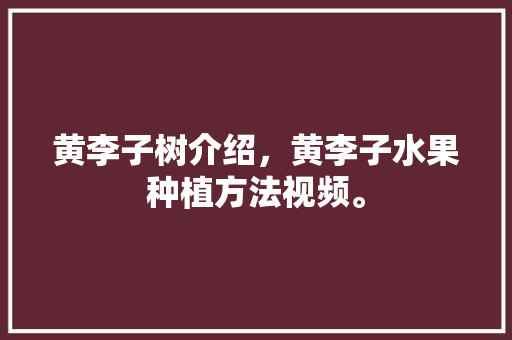 黄李子树介绍，黄李子水果种植方法视频。 黄李子树介绍，黄李子水果种植方法视频。 土壤施肥