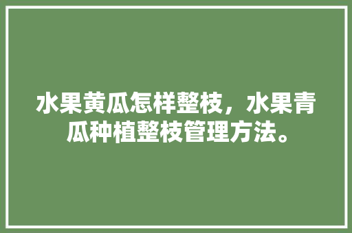 水果黄瓜怎样整枝，水果青瓜种植整枝管理方法。 畜牧养殖