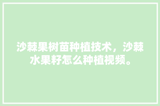 沙棘果树苗种植技术，沙棘水果籽怎么种植视频。 沙棘果树苗种植技术，沙棘水果籽怎么种植视频。 畜牧养殖