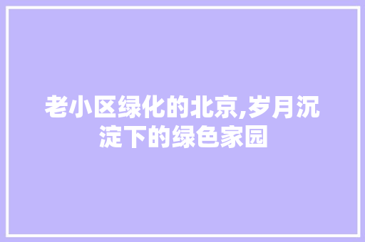 老小区绿化的北京,岁月沉淀下的绿色家园