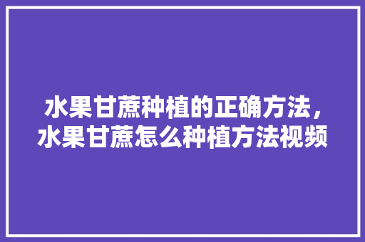 水果甘蔗种植的正确方法，水果甘蔗怎么种植方法视频。 水果甘蔗种植的正确方法，水果甘蔗怎么种植方法视频。 家禽养殖