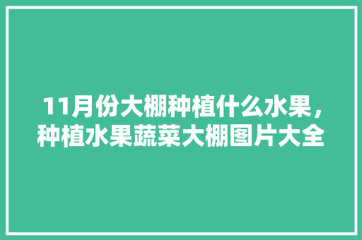 11月份大棚种植什么水果，种植水果蔬菜大棚图片大全。