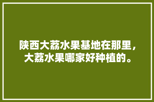 陕西大荔水果基地在那里，大荔水果哪家好种植的。