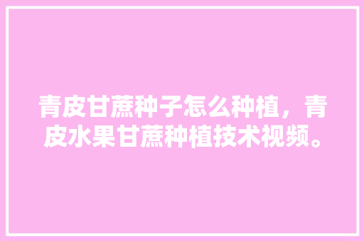 青皮甘蔗种子怎么种植，青皮水果甘蔗种植技术视频。