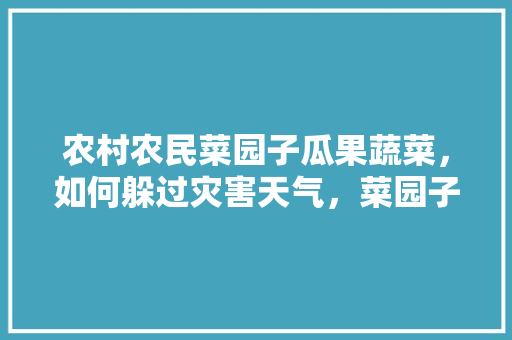 农村农民菜园子瓜果蔬菜，如何躲过灾害天气，菜园子种植水果图片。 水果种植