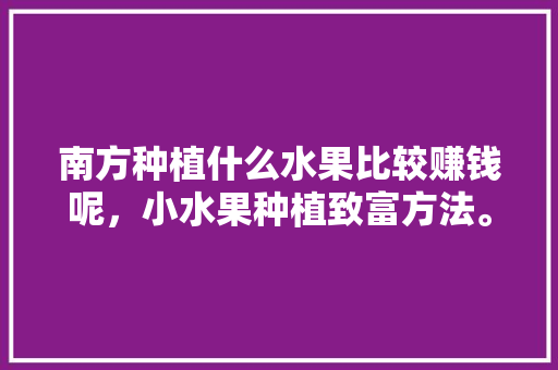 南方种植什么水果比较赚钱呢，小水果种植致富方法。