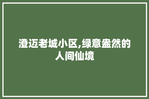 澄迈老城小区,绿意盎然的人间仙境