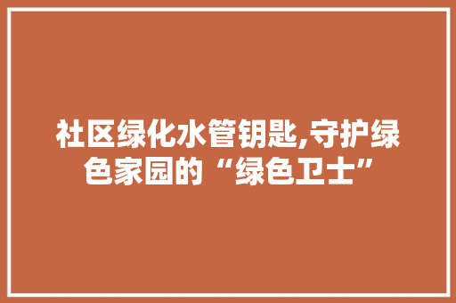 社区绿化水管钥匙,守护绿色家园的“绿色卫士”