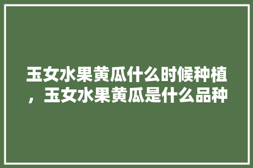 玉女水果黄瓜什么时候种植，玉女水果黄瓜是什么品种,口味怎么样。 玉女水果黄瓜什么时候种植，玉女水果黄瓜是什么品种,口味怎么样。 蔬菜种植