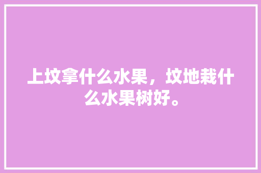 上坟拿什么水果，坟地栽什么水果树好。 上坟拿什么水果，坟地栽什么水果树好。 蔬菜种植