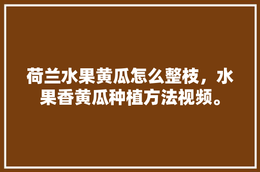 荷兰水果黄瓜怎么整枝，水果香黄瓜种植方法视频。