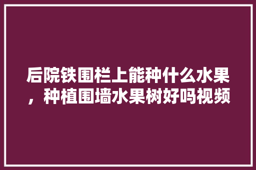 后院铁围栏上能种什么水果，种植围墙水果树好吗视频。 后院铁围栏上能种什么水果，种植围墙水果树好吗视频。 蔬菜种植