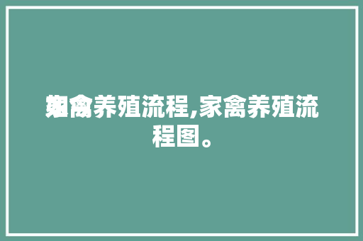 如今
家禽养殖流程,家禽养殖流程图。 如今
家禽养殖流程,家禽养殖流程图。 家禽养殖