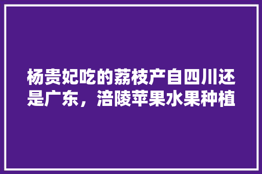 杨贵妃吃的荔枝产自四川还是广东，涪陵苹果水果种植基地在哪里。 杨贵妃吃的荔枝产自四川还是广东，涪陵苹果水果种植基地在哪里。 蔬菜种植