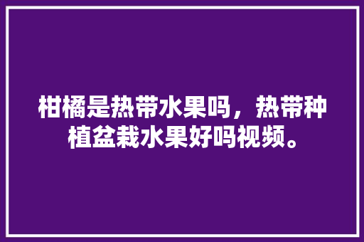 柑橘是热带水果吗，热带种植盆栽水果好吗视频。 柑橘是热带水果吗，热带种植盆栽水果好吗视频。 土壤施肥