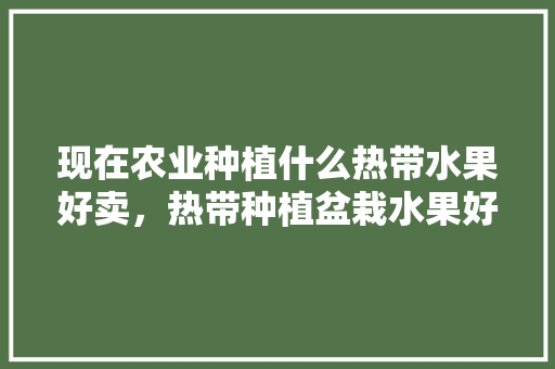 现在农业种植什么热带水果好卖，热带种植盆栽水果好吗视频。 现在农业种植什么热带水果好卖，热带种植盆栽水果好吗视频。 水果种植