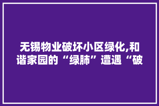 无锡物业破坏小区绿化,和谐家园的“绿肺”遭遇“破坏者”