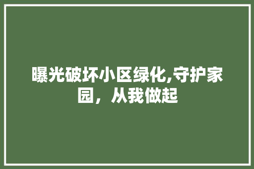 曝光破坏小区绿化,守护家园，从我做起