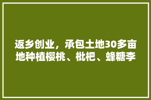 返乡创业，承包土地30多亩地种植樱桃、枇杷、蜂糖李、桃子、八月瓜、无花果，有前途吗，屋内种植水果好吗。 返乡创业，承包土地30多亩地种植樱桃、枇杷、蜂糖李、桃子、八月瓜、无花果，有前途吗，屋内种植水果好吗。 水果种植