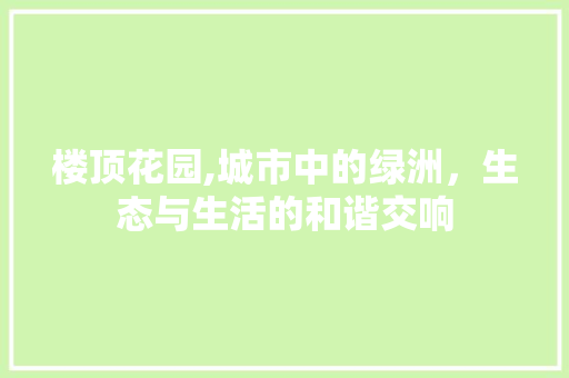 楼顶花园,城市中的绿洲，生态与生活的和谐交响