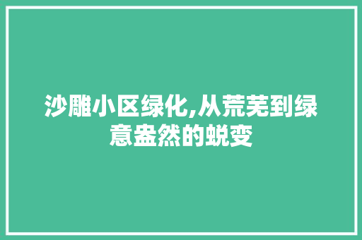 沙雕小区绿化,从荒芜到绿意盎然的蜕变