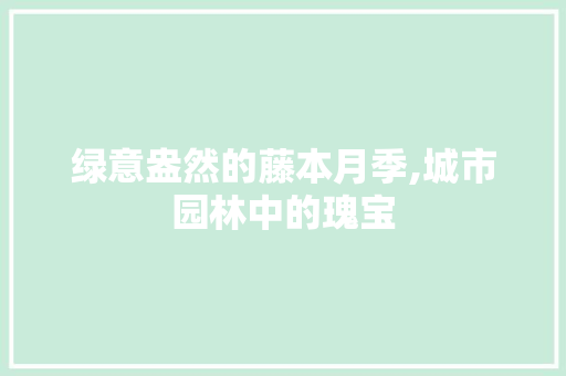 绿意盎然的藤本月季,城市园林中的瑰宝