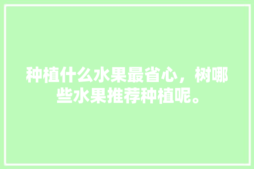 种植什么水果最省心，树哪些水果推荐种植呢。 种植什么水果最省心，树哪些水果推荐种植呢。 水果种植