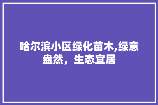 哈尔滨小区绿化苗木,绿意盎然，生态宜居