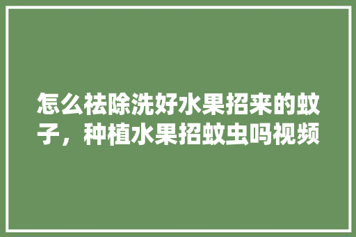 怎么祛除洗好水果招来的蚊子，种植水果招蚊虫吗视频。 怎么祛除洗好水果招来的蚊子，种植水果招蚊虫吗视频。 畜牧养殖