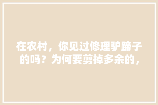 在农村，你见过修理驴蹄子的吗？为何要剪掉多余的，盘锦水果马蹄种植基地在哪。 在农村，你见过修理驴蹄子的吗？为何要剪掉多余的，盘锦水果马蹄种植基地在哪。 家禽养殖