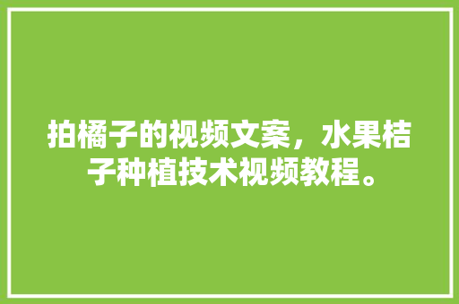 拍橘子的视频文案，水果桔子种植技术视频教程。