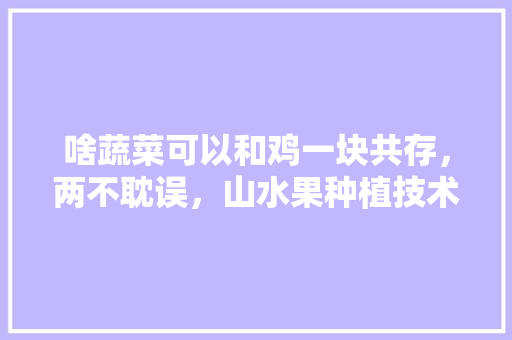 啥蔬菜可以和鸡一块共存，两不耽误，山水果种植技术视频教程。