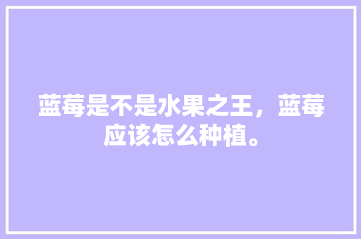 蓝莓是不是水果之王，蓝莓应该怎么种植。