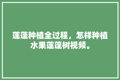 莲蓬种植全过程，怎样种植水果莲蓬树视频。