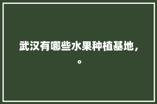 武汉有哪些水果种植基地，。