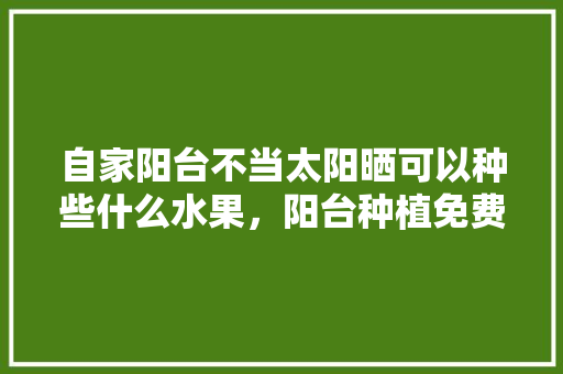 自家阳台不当太阳晒可以种些什么水果，阳台种植免费的水果有哪些。 自家阳台不当太阳晒可以种些什么水果，阳台种植免费的水果有哪些。 蔬菜种植