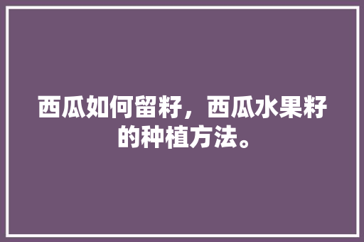 西瓜如何留籽，西瓜水果籽的种植方法。