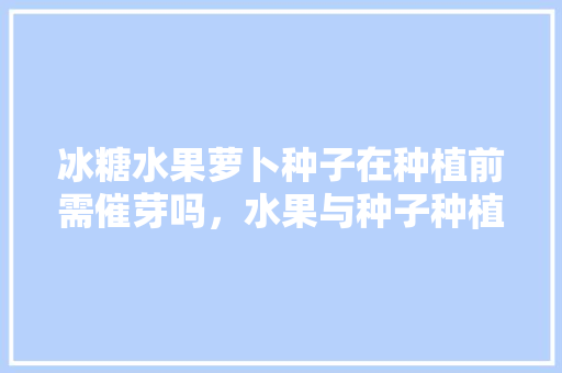 冰糖水果萝卜种子在种植前需催芽吗，水果与种子种植区别在哪。