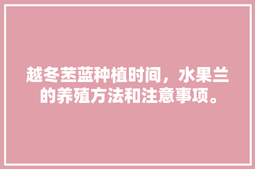 越冬苤蓝种植时间，水果兰的养殖方法和注意事项。