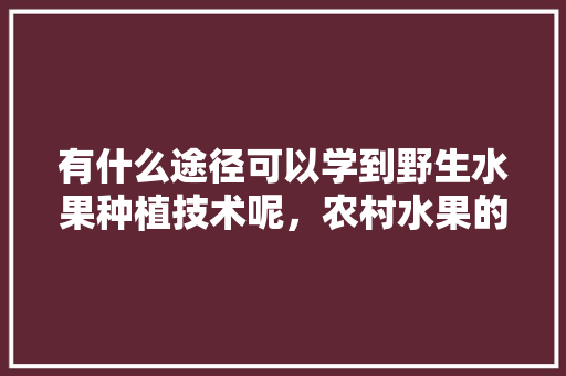 有什么途径可以学到野生水果种植技术呢，农村水果的种植技术有哪些。 有什么途径可以学到野生水果种植技术呢，农村水果的种植技术有哪些。 蔬菜种植