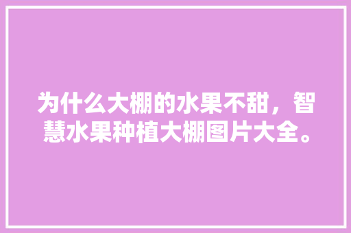 为什么大棚的水果不甜，智慧水果种植大棚图片大全。