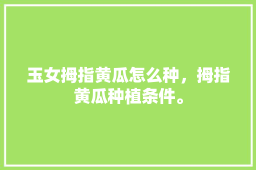 玉女拇指黄瓜怎么种，拇指黄瓜种植条件。