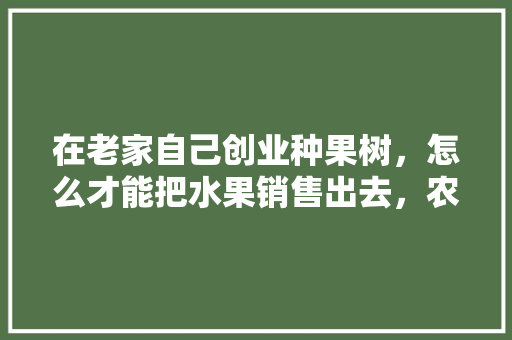 在老家自己创业种果树，怎么才能把水果销售出去，农村人怎样种植水果树。