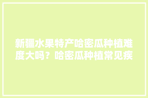 新疆水果特产哈密瓜种植难度大吗？哈密瓜种植常见疾病有哪些，现在种水果赚钱吗。