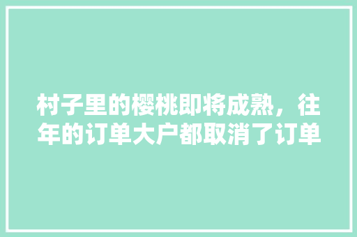 村子里的樱桃即将成熟，往年的订单大户都取消了订单，看着滞销的樱桃，该怎么办，水果樱桃种植大户图片大全。