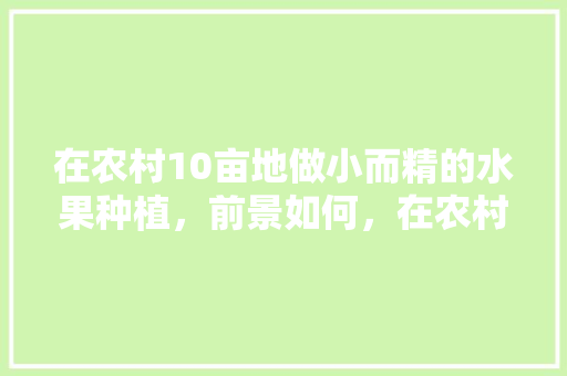 在农村10亩地做小而精的水果种植，前景如何，在农村种点什么水果最为好。